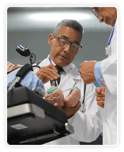The Genius Switch scientists